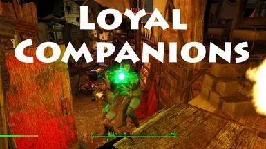 Loyal Companions