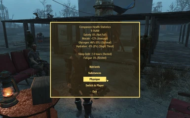 8 More Fallout 4 Mods to Improve Your Wasteland - The Escapist