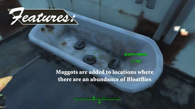 Maggot Locations