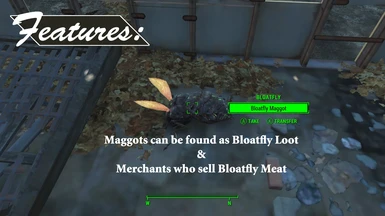 Maggot loot