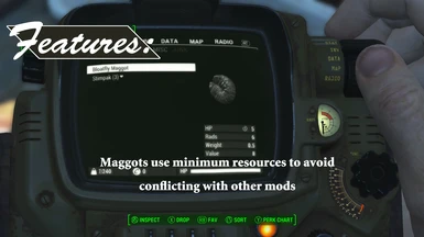 Maggot Resources