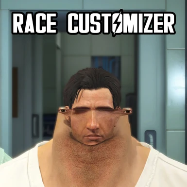 RaceCustomizer Image