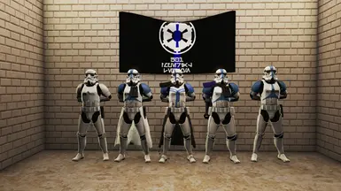 Made a Custom flag for my 501st regiment