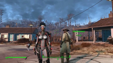 fallout 4 ghost armor