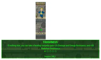 Toughness Description