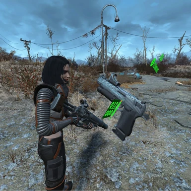Desert Eagle in Fallout 4 VR
