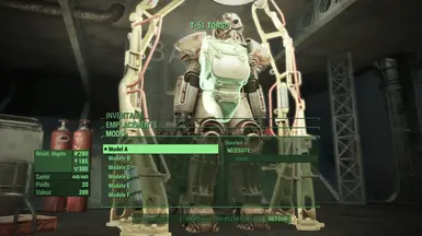 T 51   Torso A