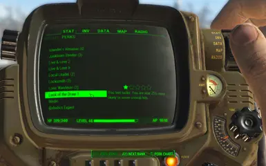 perk 1 pipboy