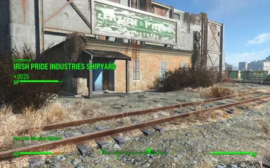 irish pride location