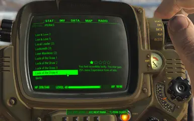 perk 4 pipboy