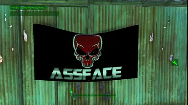 assface