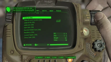 Fallout 4 Realism Overhaul (F4RO)