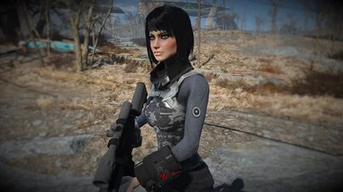 The Lovely Presets Revitalized at Fallout 4 Nexus - Mods and community