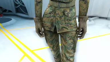 Coyote 3