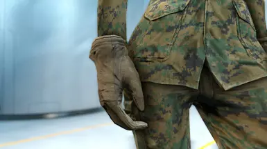 Coyote 4