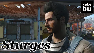 nexus Sturges 1
