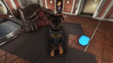 On_my_Dogmeat