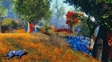 Dogmeat matches the flora