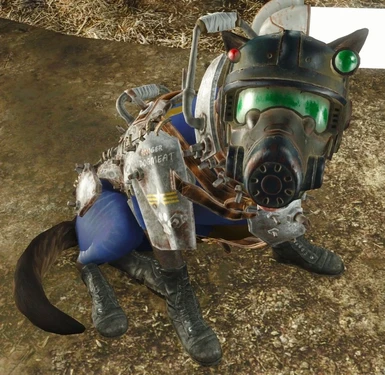 Ranger Dogmeat, fully equipped!