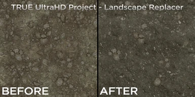 Landscape Replacer Preview
