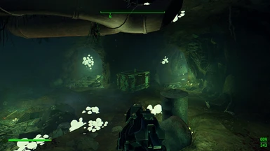 Brain fungus in Mole Rat Cave near Red Rocket
