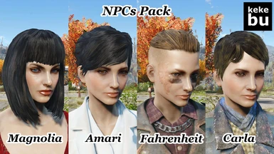Fallout 4 npc face replacer