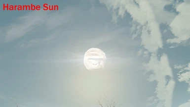 Harambe Sun