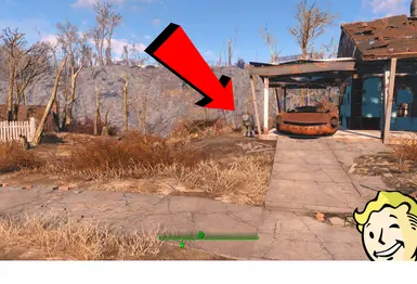 Rafe Location