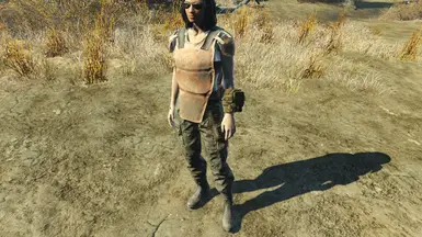 femshot