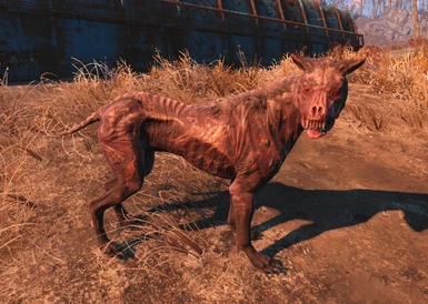 Less Aggressive Animals - Dogs - Nice Doggies at Fallout 4 Nexus - Mods and  community