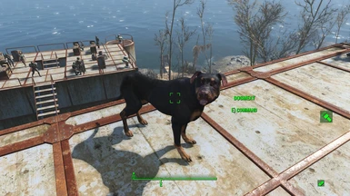 Craftable dogmeat costume - Base Game