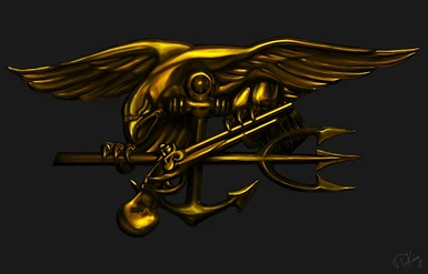 US Navy SEAL Background