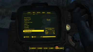 fallout 4 pipboy background mod