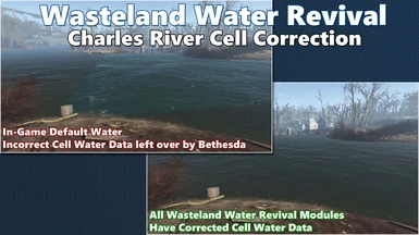 Charles River Water Correction
