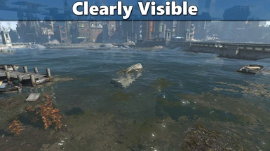 wwr clearlyvisible