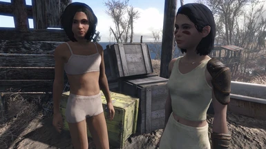 fallout 4 mods lovers lab