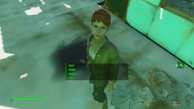 Follower Revive System at Fallout 4 Nexus - Mods and community