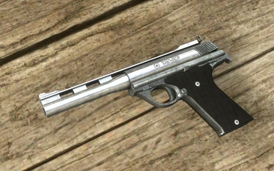 .44 AUTOMAG