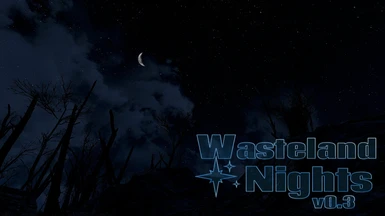 Wasteland Nights