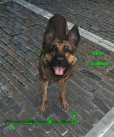 In Memory of Daisy- Rename Dogmeat