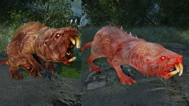 Molerat before and after