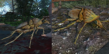 Radroach before and after