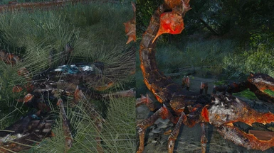 Radscorpion before and after