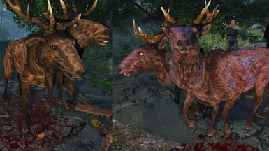 Radstag before and after