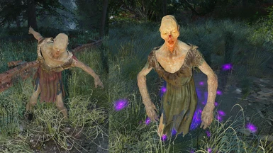 Feral ghoul before and after