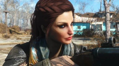 Celsius' Face Preset (LooksMenu) at Fallout 4 Nexus - Mods and community