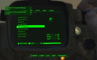 Concentrated RadAway Pipboy