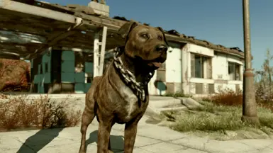 Remembrance of 'Pups' - Raider Dog Retexture at Fallout 4 Nexus - Mods ...