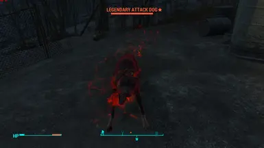 Legendary Dogs Raiders