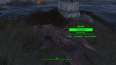 fallout 4 carry corpses mod